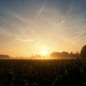 Zonsopgang weiland met mist.jpg