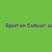 Sport en cultuur.png