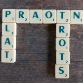 afbeelding plat praotn.jpg